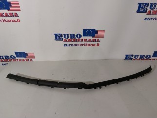 Cover Molding, LH (Raptor)